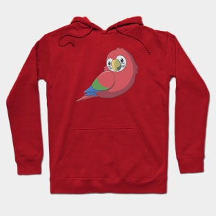 Cute fluffy red and green macaw Hoodie